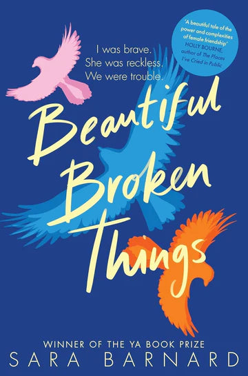 Beautiful Broken Things Book by Sara Barnard