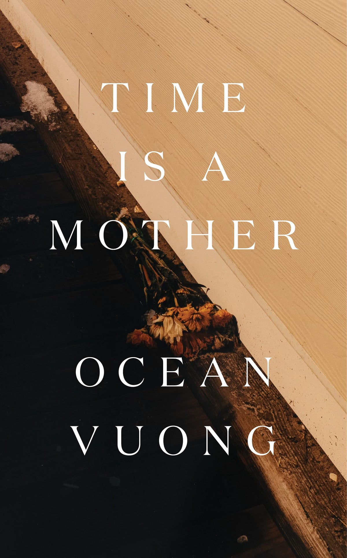 Time Is a Mother Book by Ocean Vuong
