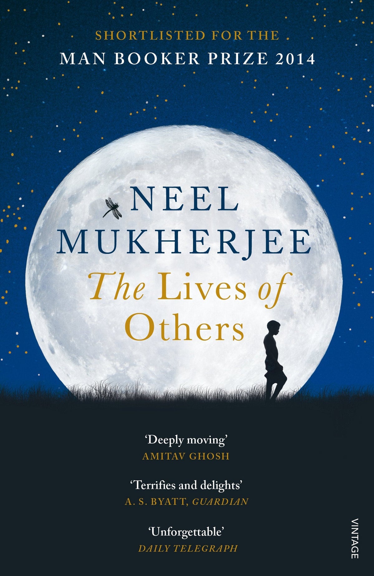 The Lives of Others Novel by Neel Mukherjee
