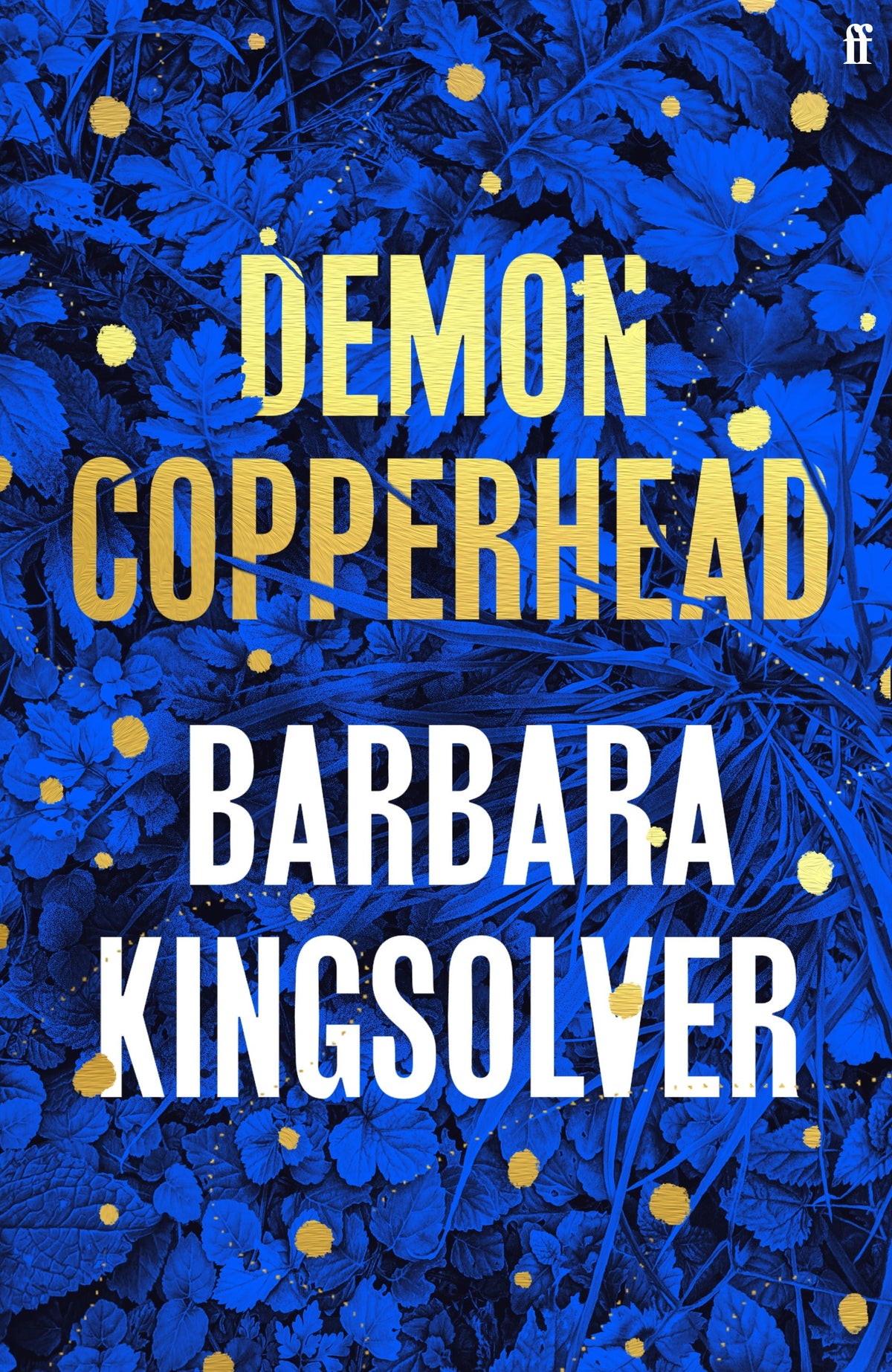 Demon Copperhead Novel by Barbara Kingsolver