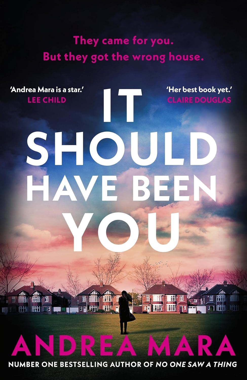 It Should Have Been You by Andrea Mara