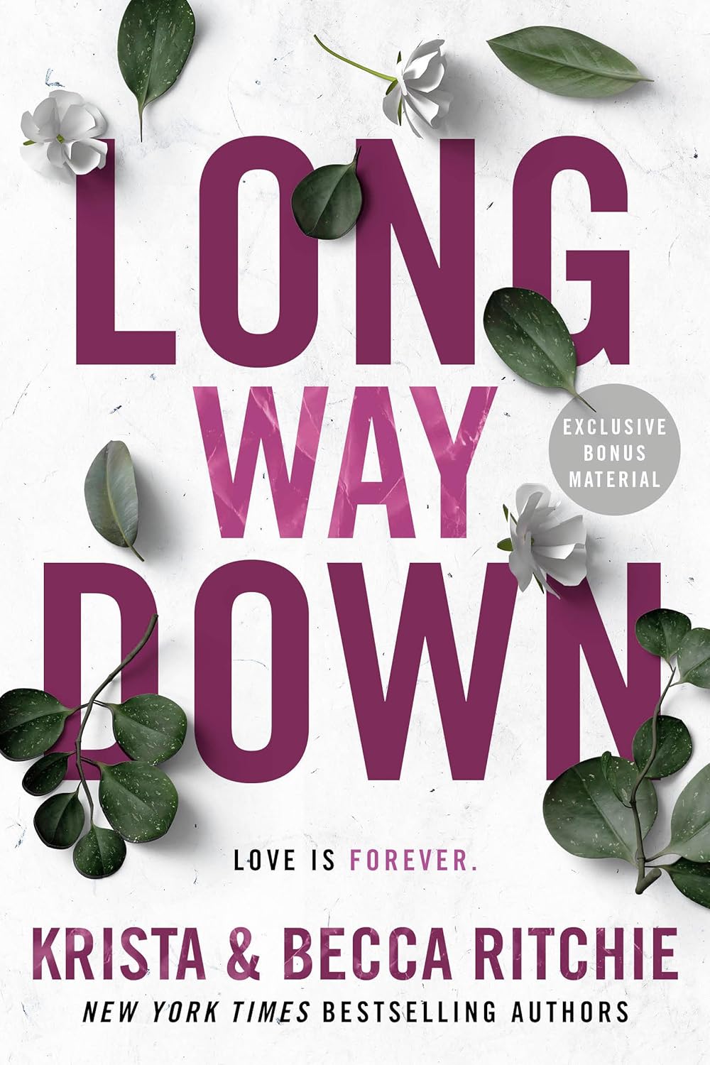Long Way Down Book by Becca Richie and Krista Ritchie