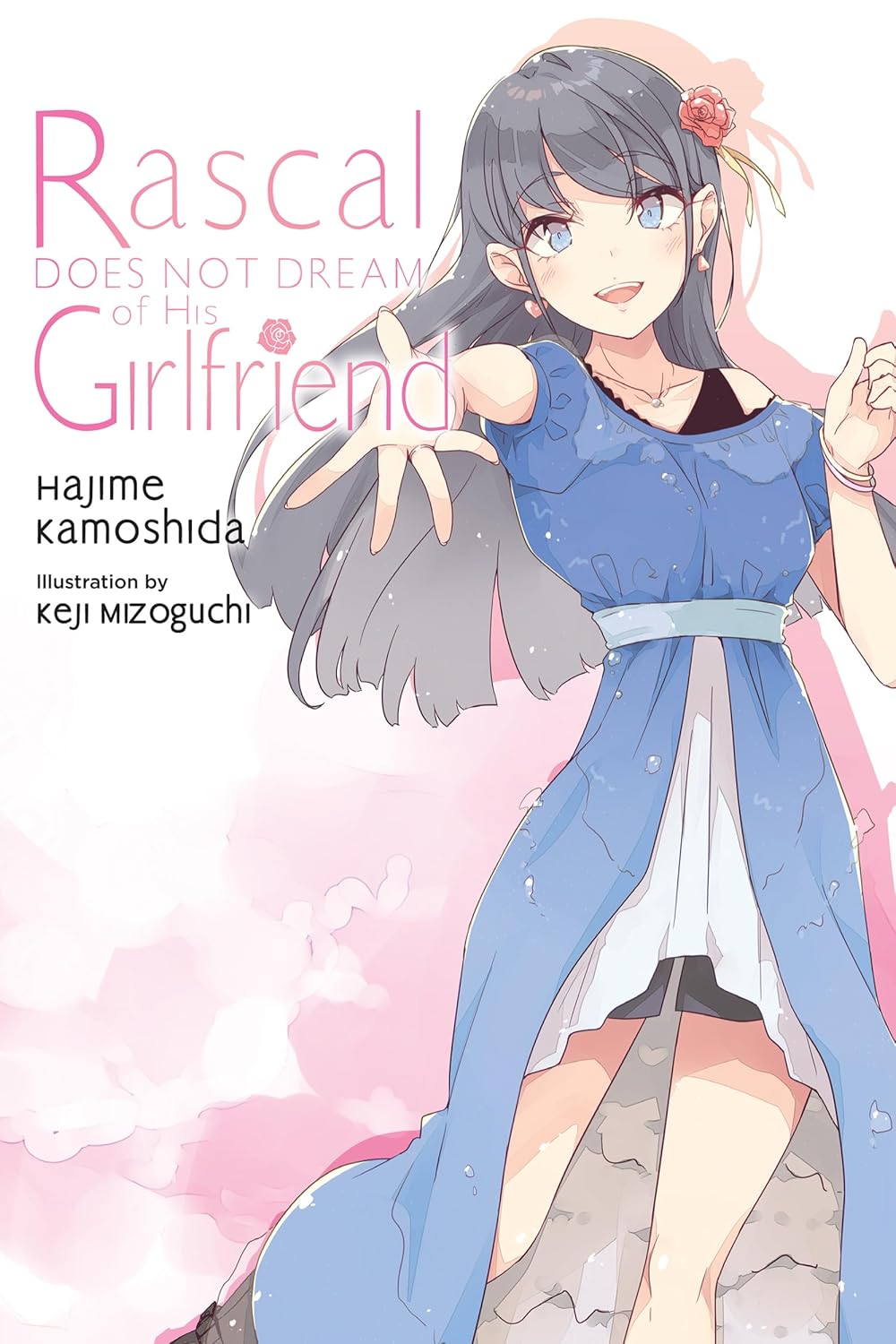 Rascal Does Not Dream of His Girlfriend (Volume 14) by Hajime Kamoshida