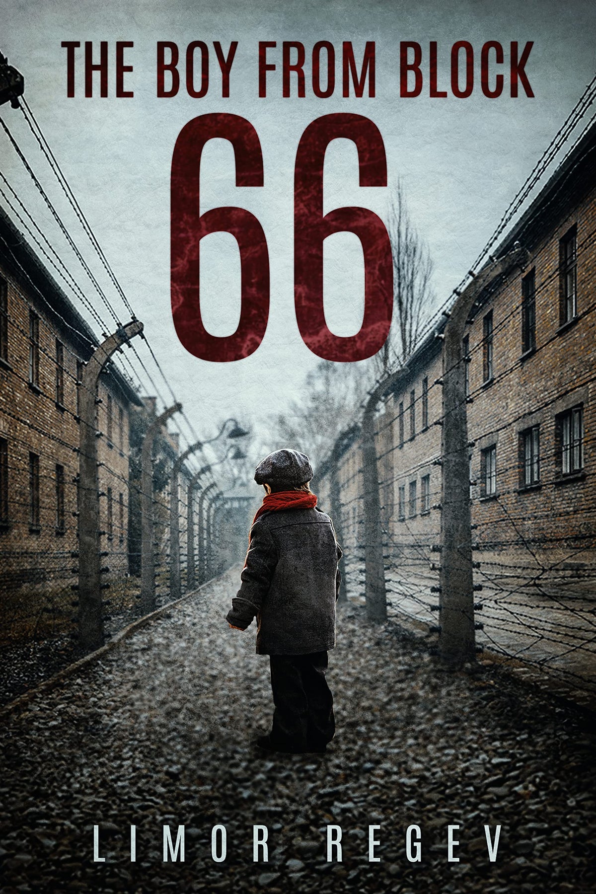 The Boy from Block 66 Book by Limor Regev