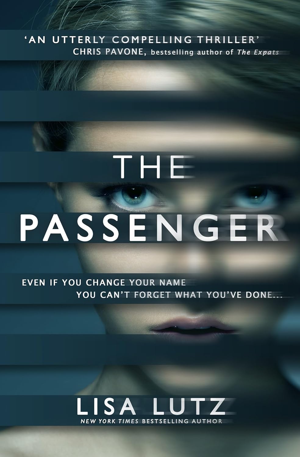 The Passenger Book by Lisa Lutz