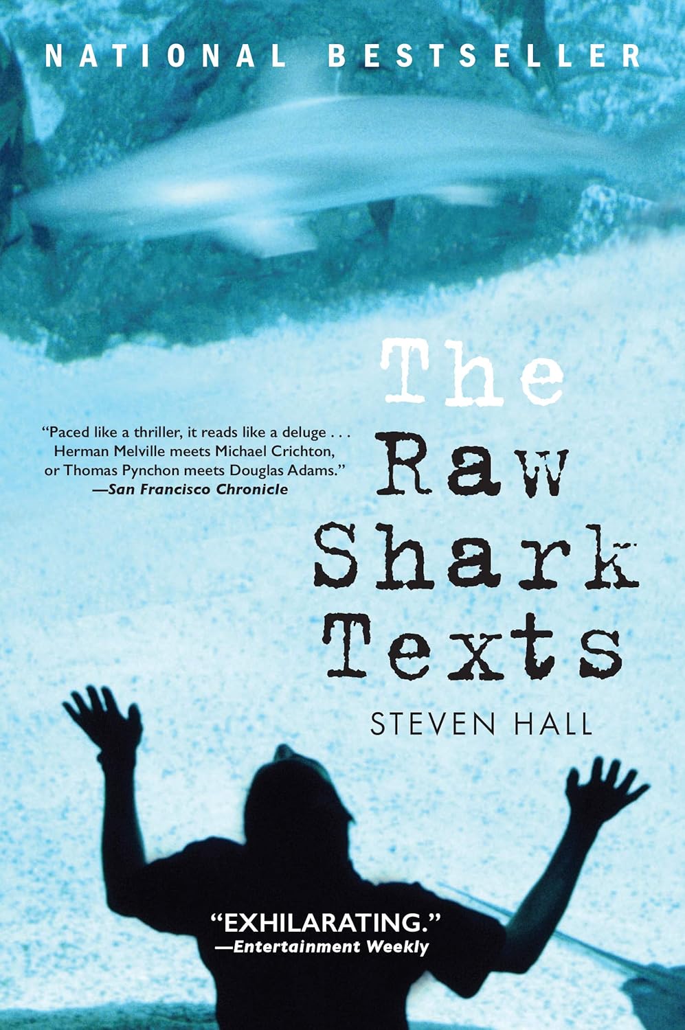 The Raw Shark Texts Novel by Steven Hall