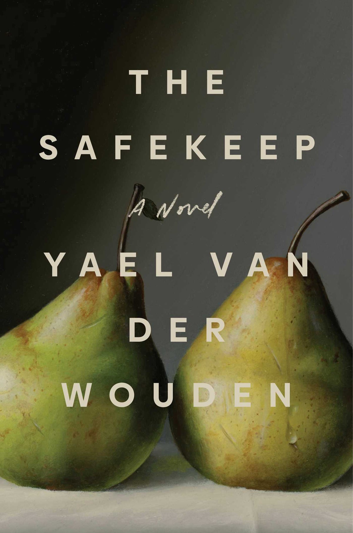 The Safekeep Novel by Yael van der Wouden