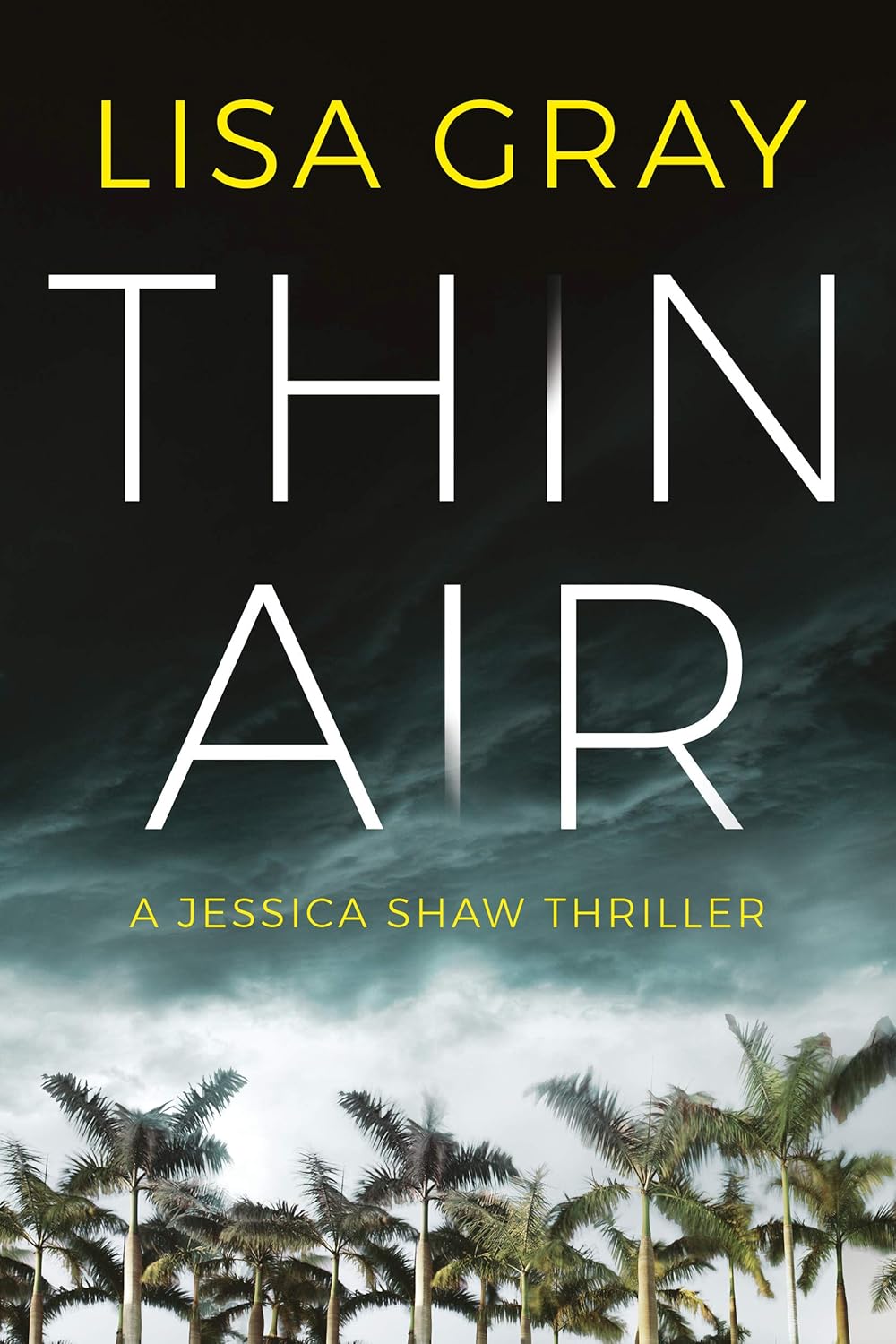 Thin Air Book by Lisa Gray