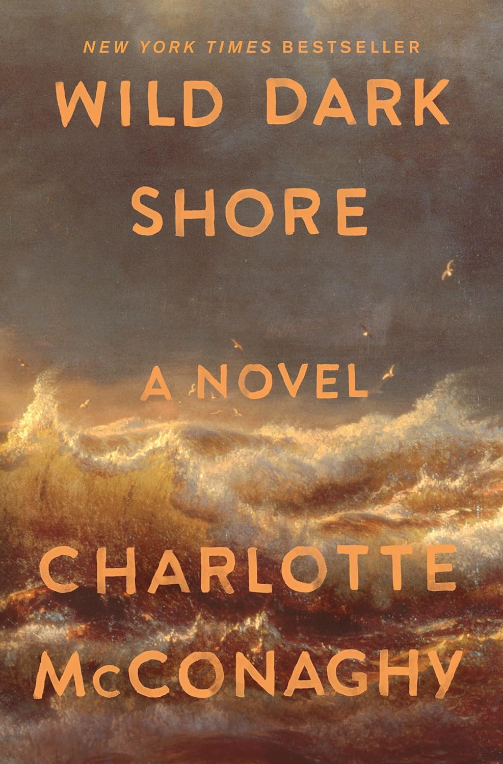 Wild Dark Shore Novel by Charlotte McConaghy