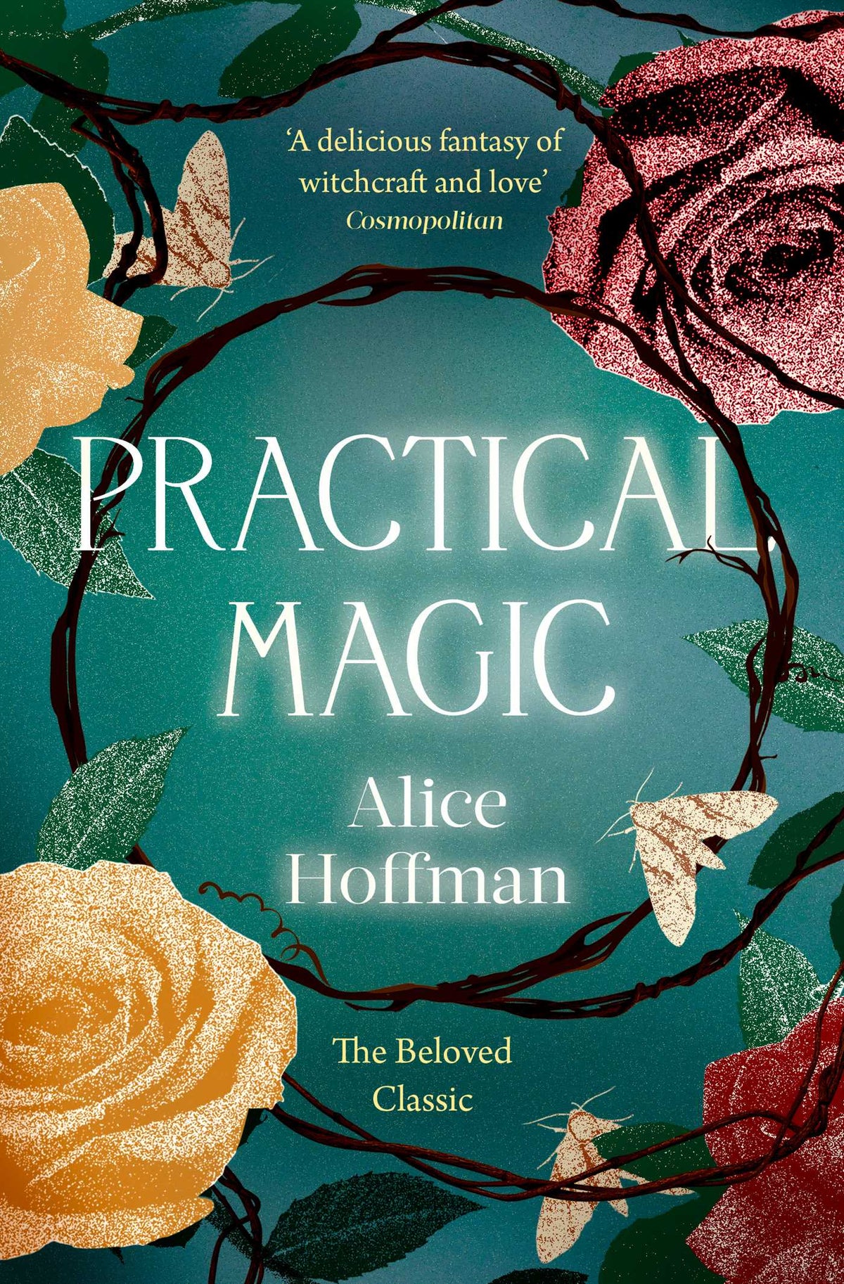 Practical Magic Novel by Alice Hoffman