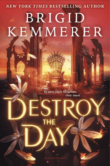 Destroy the Day Book by Brigid Kemmerer