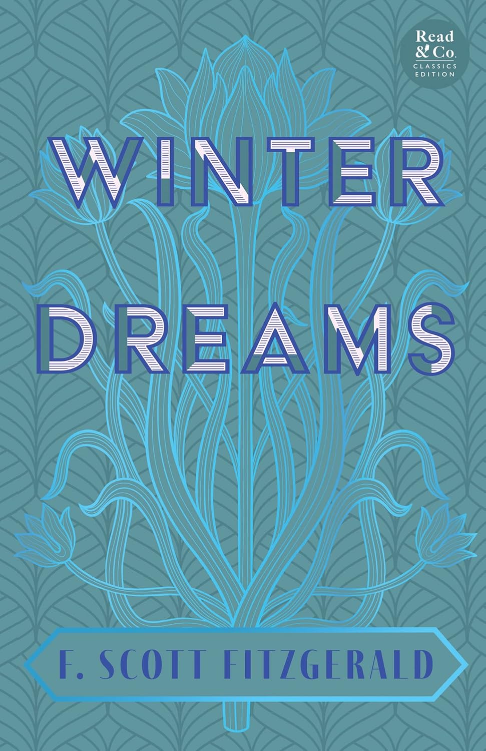 Winter Dreams Short Story by F. Scott Fitzgerald