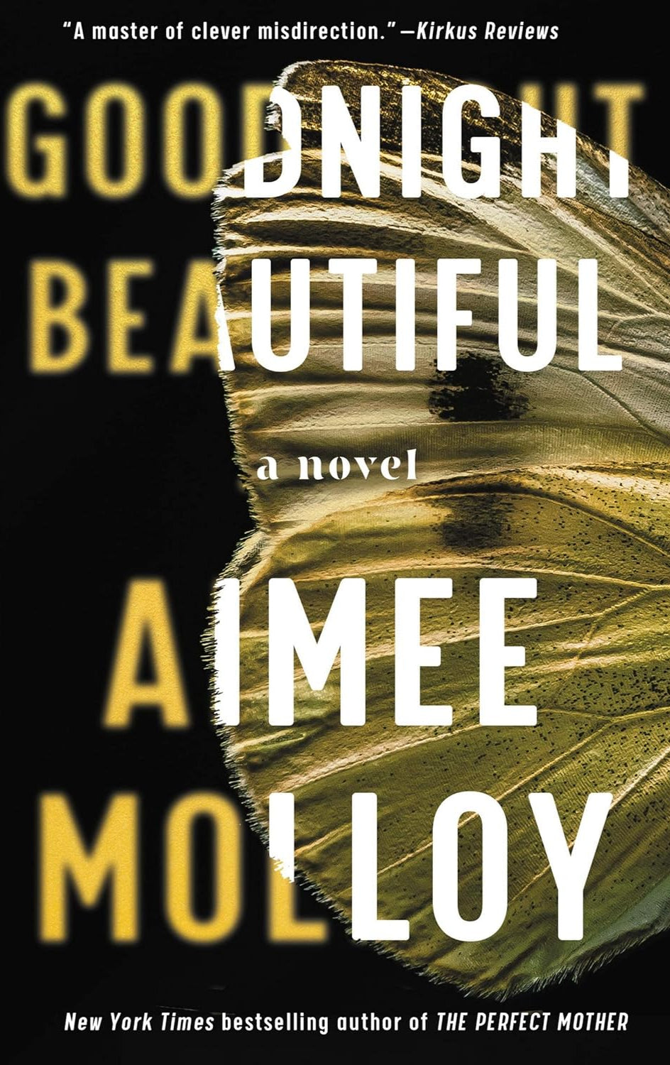 Goodnight Beautiful: A Novel Book by Aimee Molloy