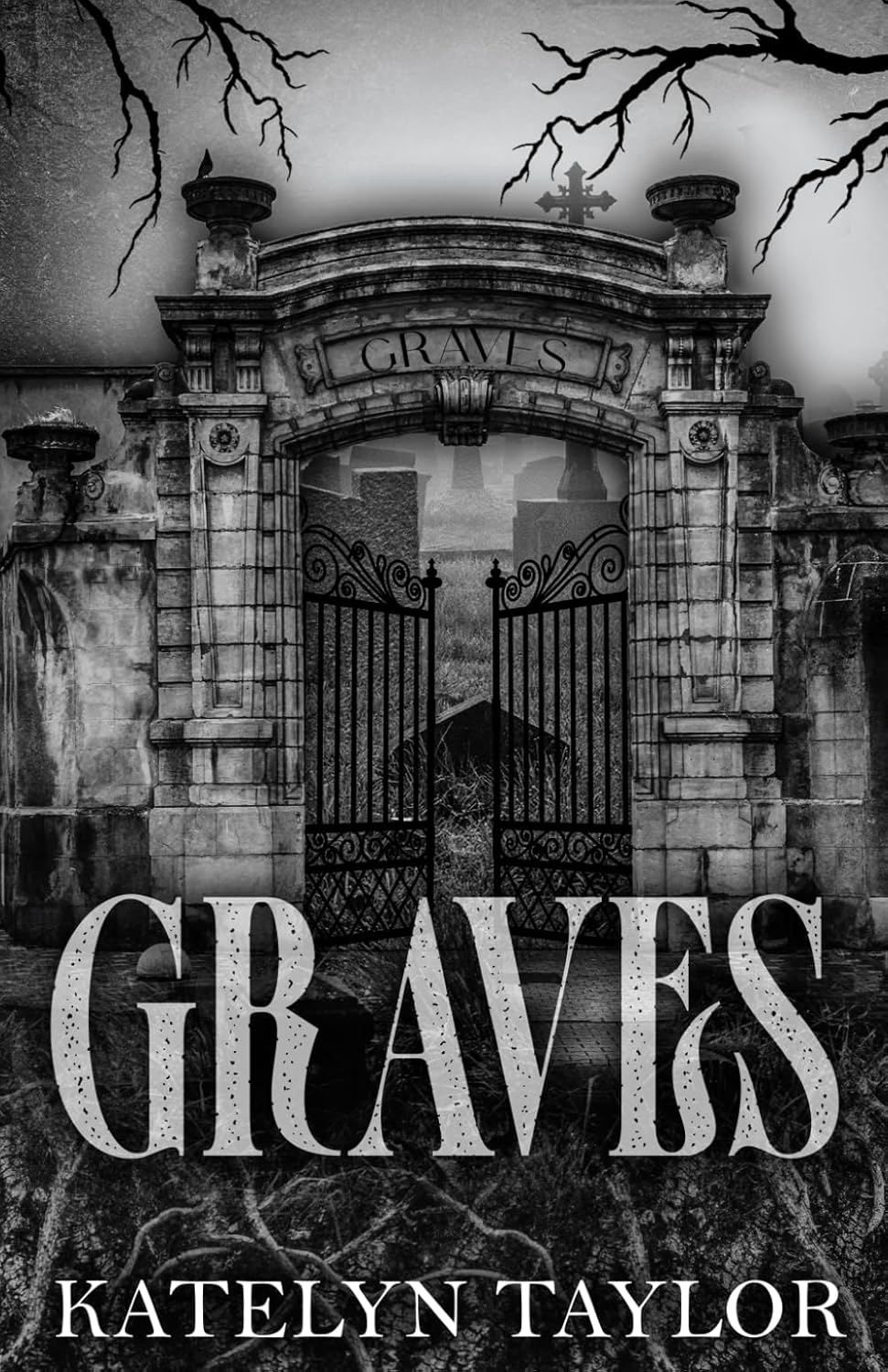 Graves Book by Katelyn Taylor