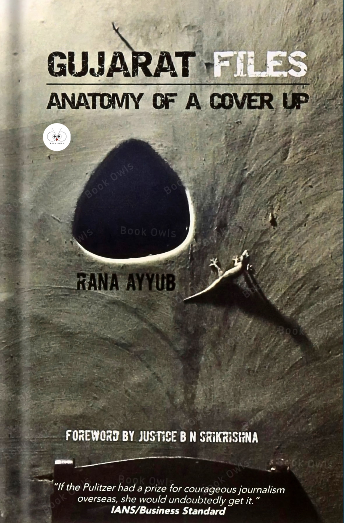 Gujarat Files Book by Rana Ayyub