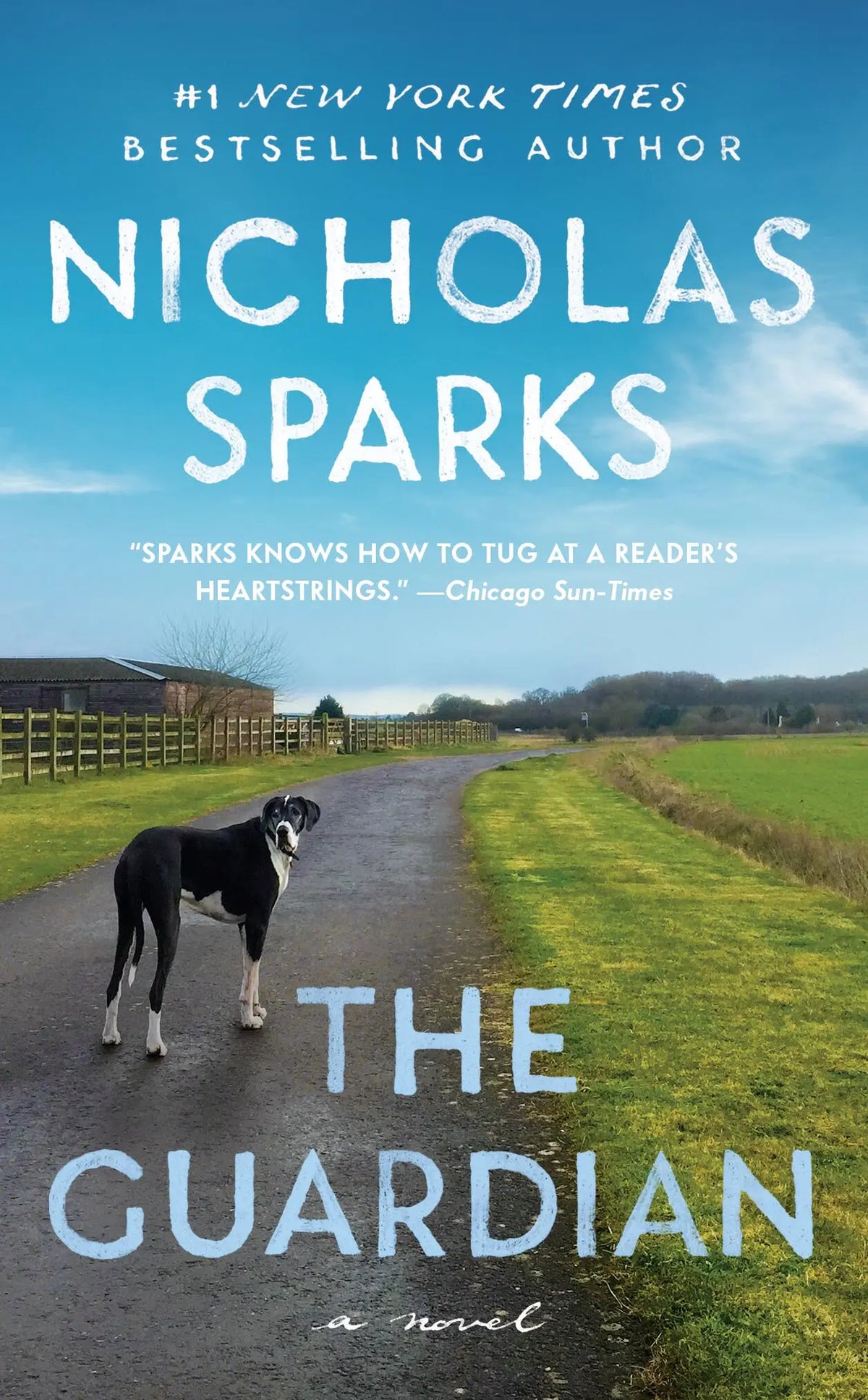 The Guardian Novel by Nicholas Sparks