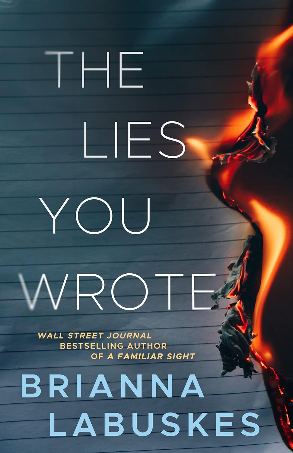 The Lies You Wrote Book by Brianna Labuskes